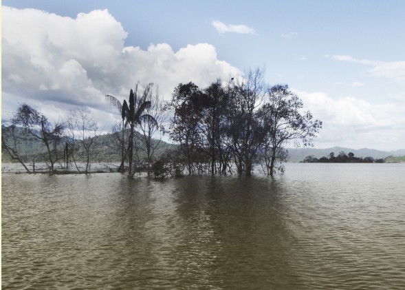 International NGO coalition condemns Malaysian dam plans